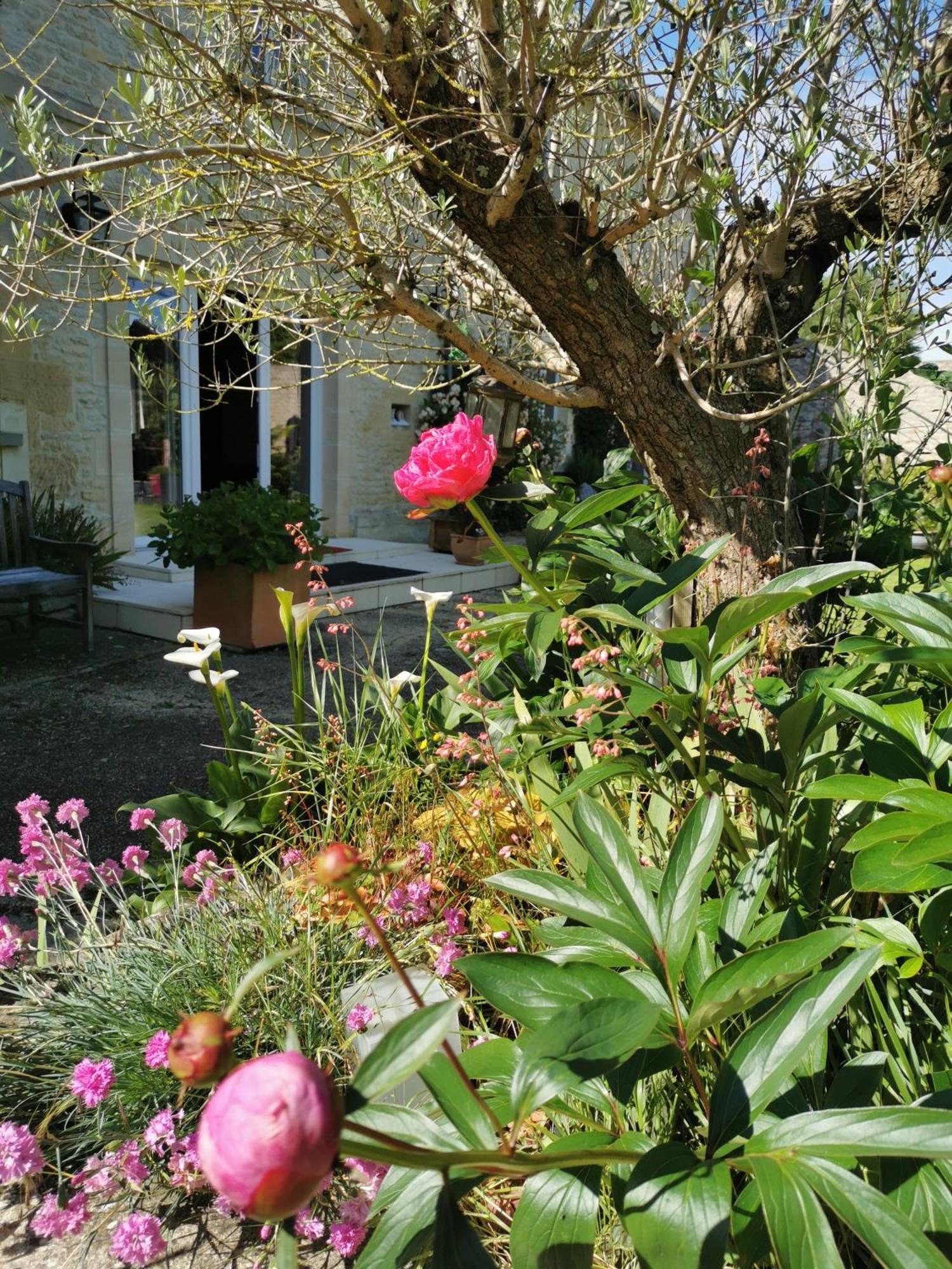 Chambre De L'Iris Sainte-Croix-sur-Mer ภายนอก รูปภาพ